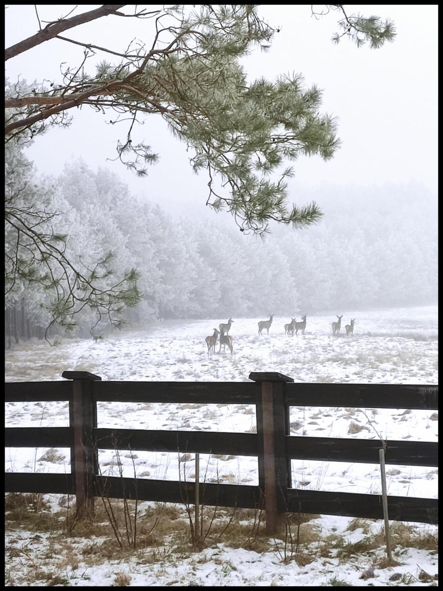 Hankowka Mazury Jerutki Zewnętrze zdjęcie
